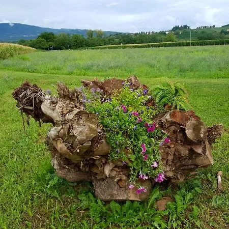 Vineyard Retreat
