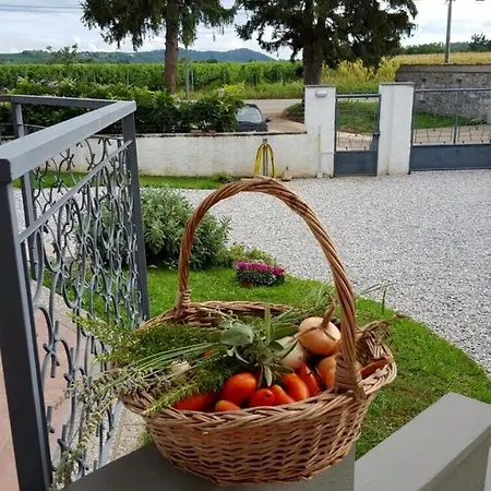 Feriehus Vineyard Retreat *