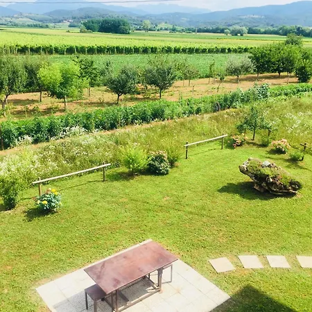 Сasa de vacaciones Vineyard Retreat *